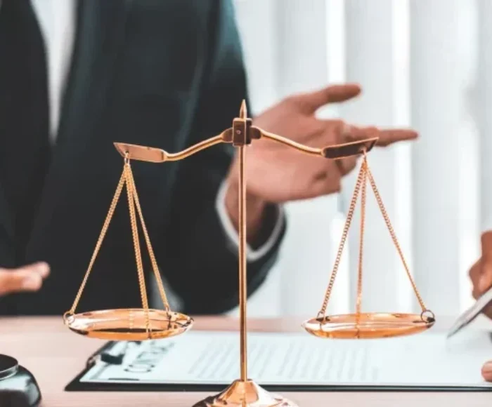 Distributor Agreements in Turkey
